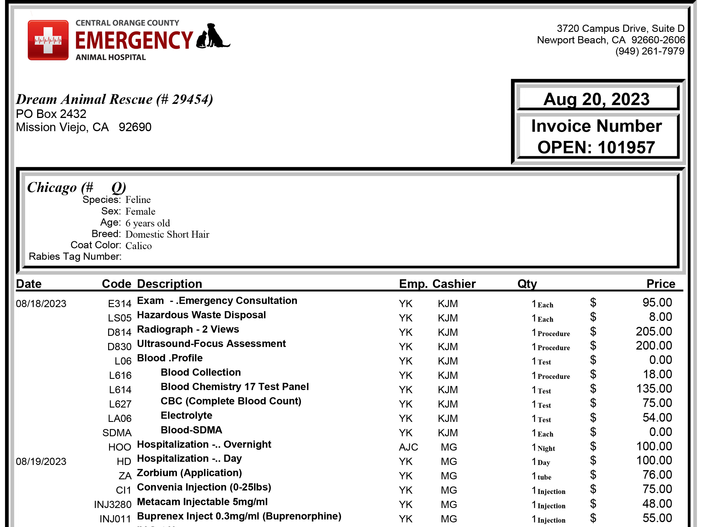 Chicago Invoice-1
