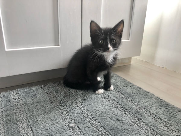 Ella F 3