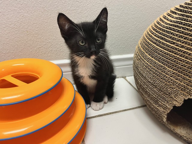 Fiyero1