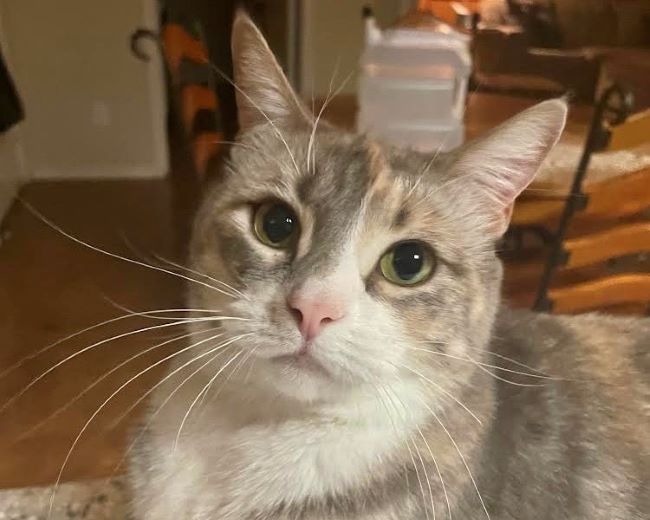 Hazel Mae1