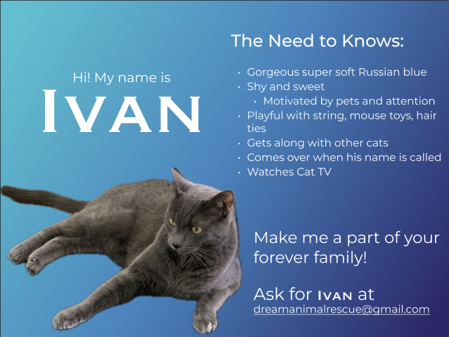 Ivan_profile