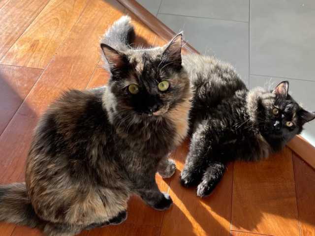 LaVerne_1