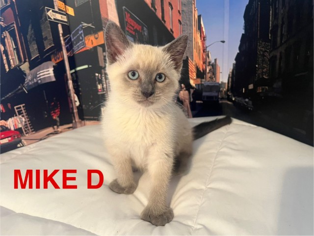 Mike-D1