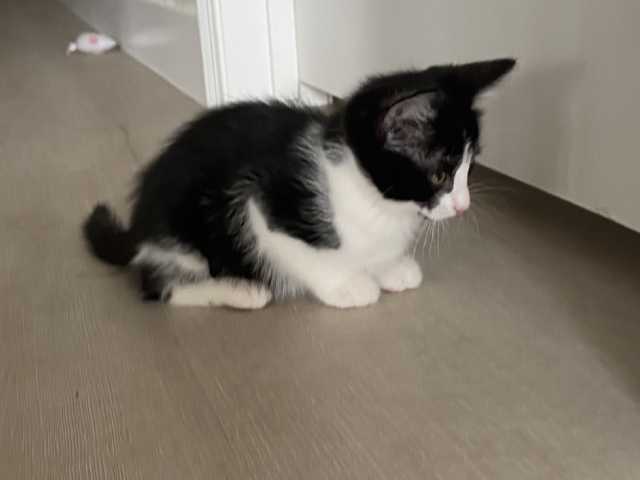 Tuxx_4